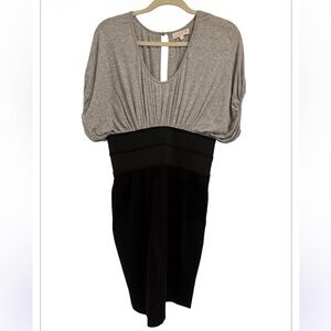 LaRok Gray and Black Dress